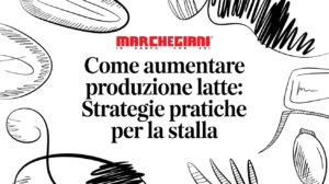 aumentare_produzione_latte