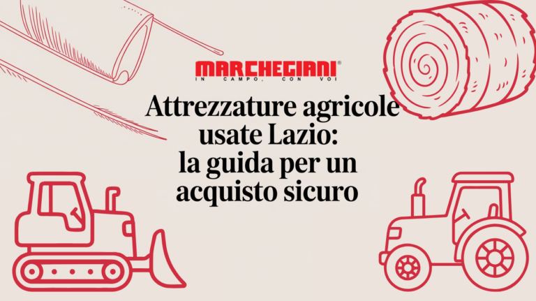 usato trattori e macchine agricole