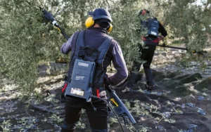 Semplifica la raccolta olive