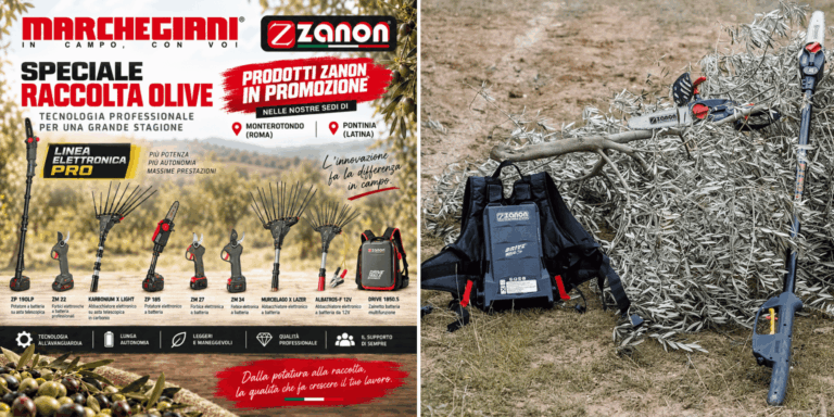 Promozione attrezzatura Zanon per raccolta olive